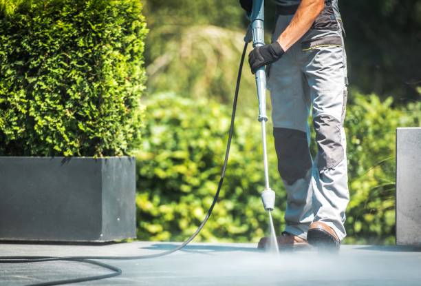 Best Concrete Sealing  in Forest, OH
