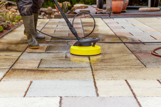 Best Driveway Pressure Washing  in Forest, OH