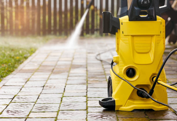 Best Animal Enclosure Cleaning  in Forest, OH