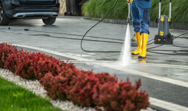 Best Roof Washing  in Forest, OH